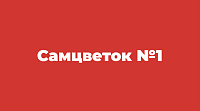 Самцветок №1 - Доставка цветов и букетов
